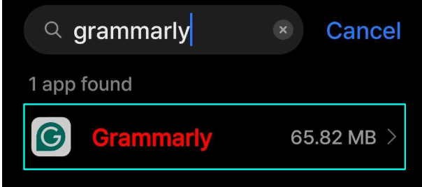 Grammarly in the installed apps Grammarly in the installed apps