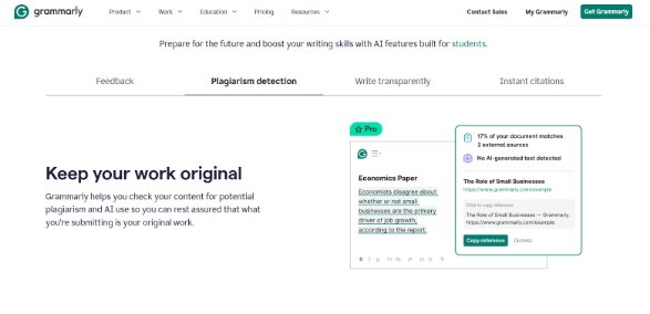 Grammarly vs Turnitin 