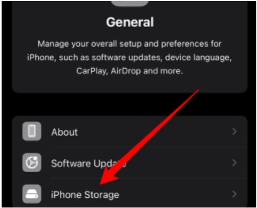 go to iPhone Storage go to iPhone Storage