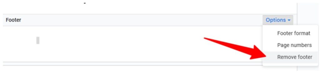remove all footnotes remove all footnotes
